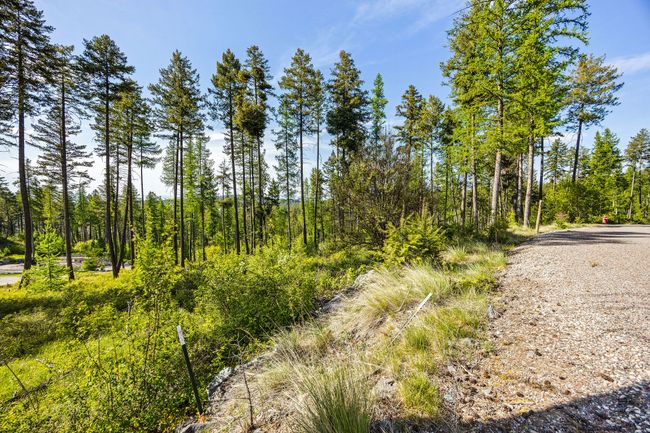 150 Trading Post Trl, Home with 0 bedrooms, 0 bathrooms and null parking in Bigfork MT | Image 30