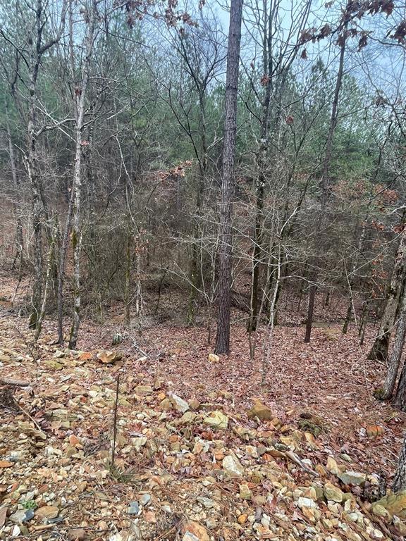 Land in Broken Bow 3