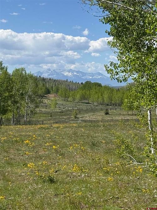 Tbd Divide/ Davewood Road, Montrose, CO, 81403 | Card Image