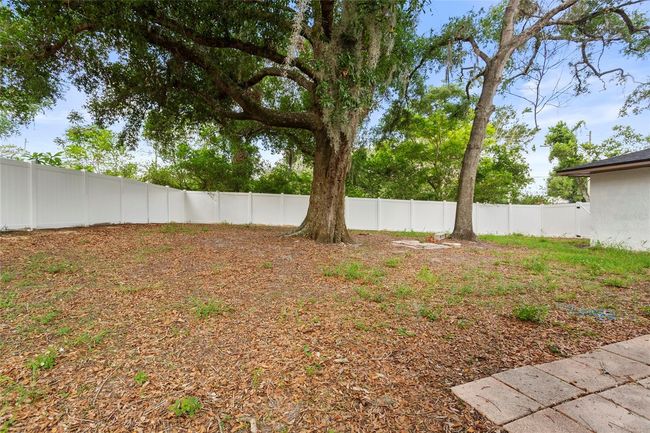 Backyard | Image 37