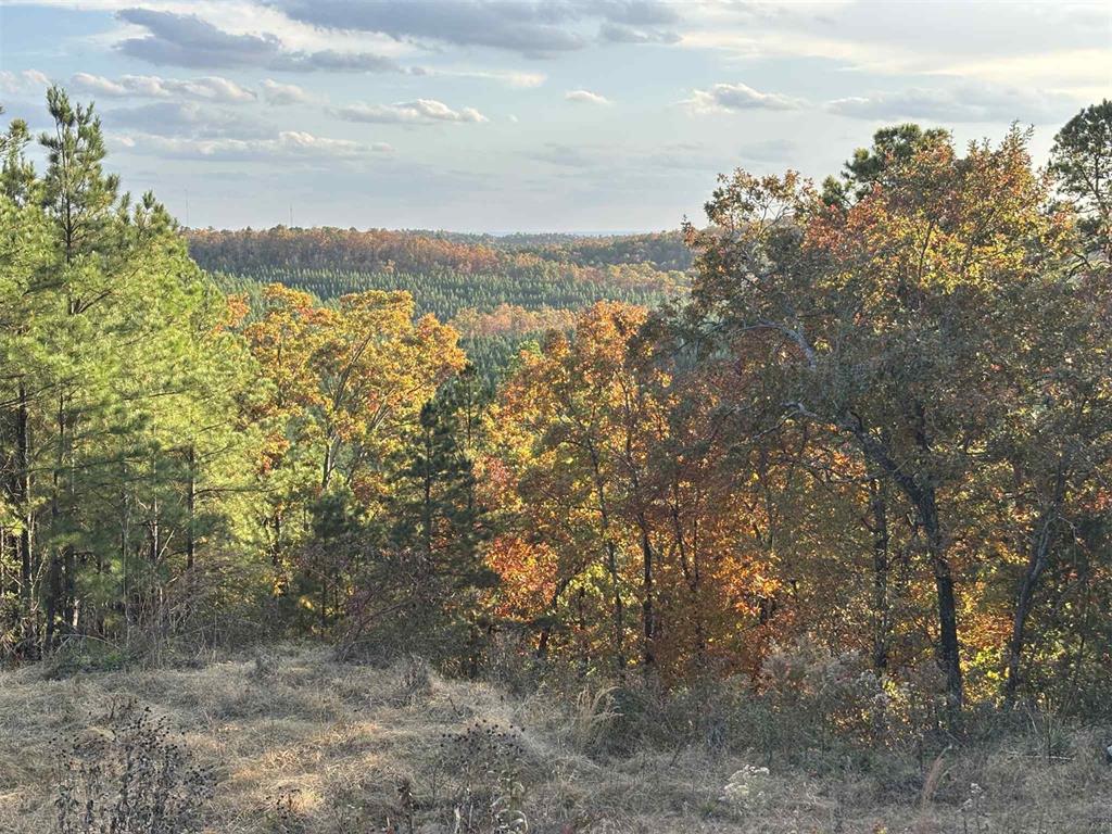 Land in Broken Bow