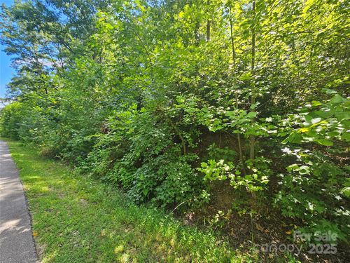 Lot 40 Walkaloosa Way, Mooresboro, NC, 28114 | Card Image