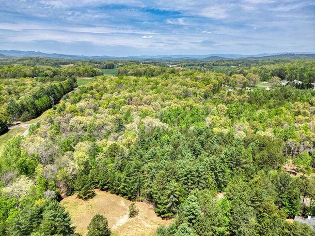 LOT 93 Sanctuary Dr, Home with 0 bedrooms, 0 bathrooms and null parking in Blairsville GA | Image 10