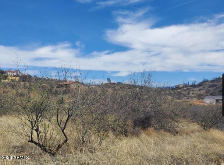 Land in Rio Rico