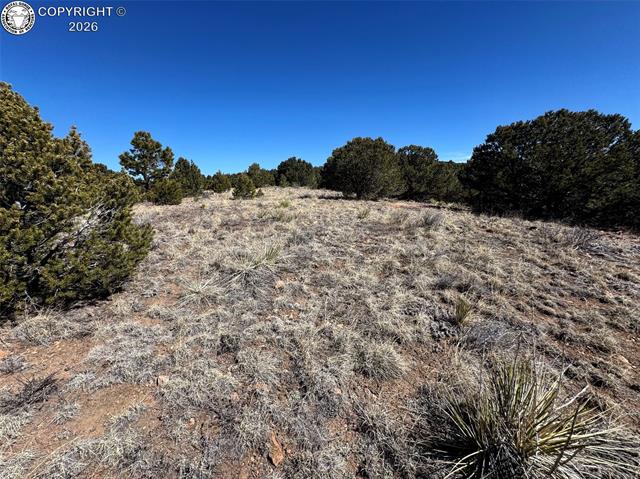 Land in Westcliffe 2