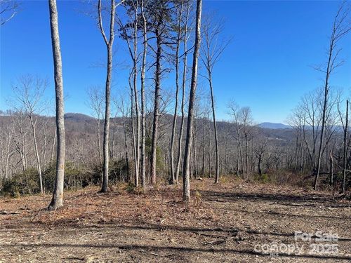Lot 59 Mountain Grove Lane, Fletcher, NC, 28732 | Card Image