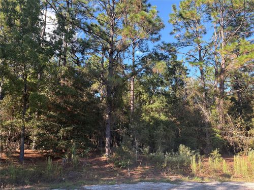 1742 W Mesa Verde Drive, BEVERLY HILLS, FL, 34465 | Card Image
