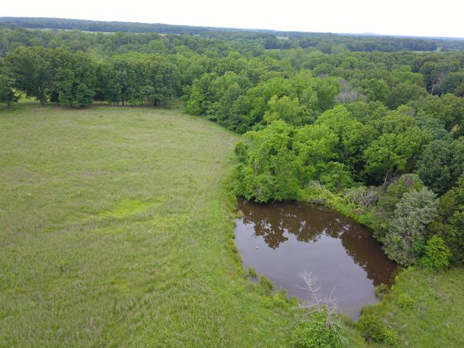 DJI_0152 | Image 9