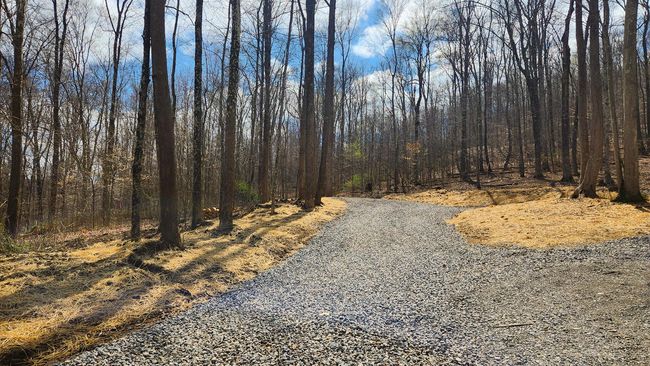 TRACT-1-PIKE-LAKE-GETAWA - 0 Pike Lake Rd, Home with 0 bedrooms, 0 bathrooms and null parking in Bainbridge OH | Image 10