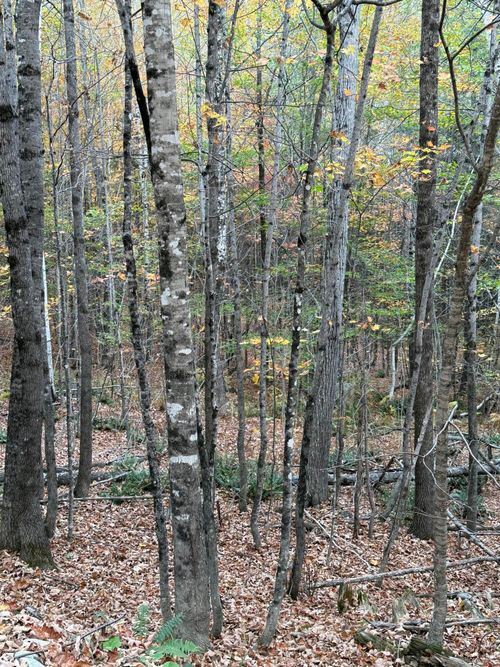 45 Sunrise Lane, Moscow, ME, 04920 | Card Image