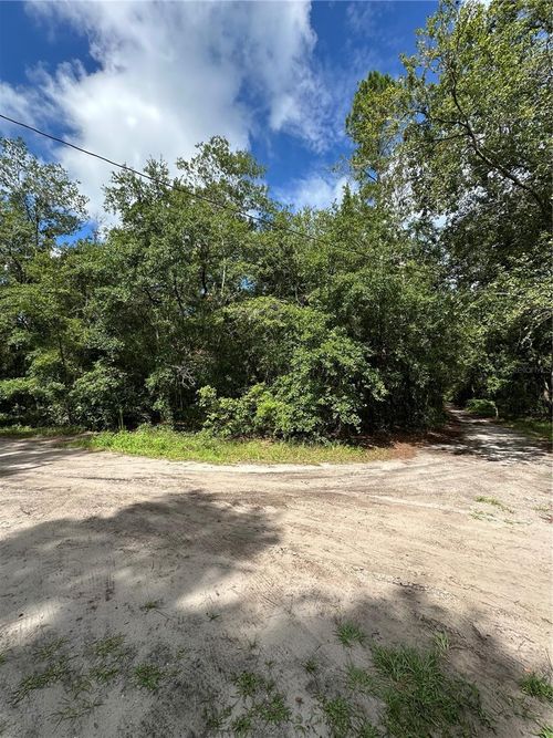 TBD Ne 225th Pl, FORT MC COY, FL, 32134 | Card Image