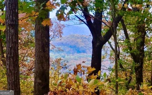 91-43.91 Old Burnt Mountain Rd, Ellijay, GA, 30536 | Card Image