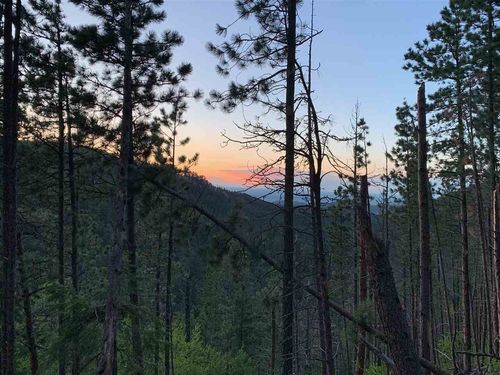 TBD Roman Road, Lead, SD, 57754 | Card Image