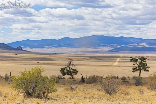 1685 Montezuma Rd, LAKE GEORGE, CO, 80827 | Card Image