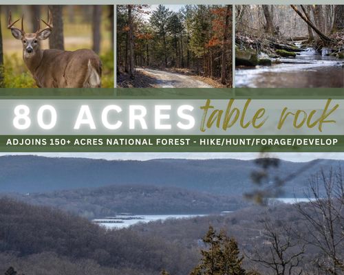 Tbd Northwoods Dr, Kimberling City, MO, 65686 | Card Image