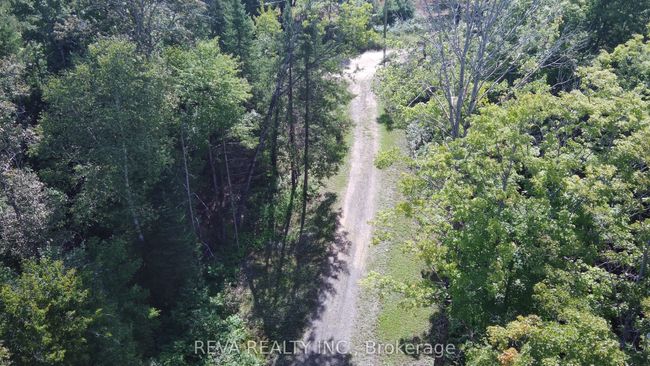 1173 Fortesque Lake Rd, Home with 0 bedrooms, 0 bathrooms and 5 parking in Gooderham ON | Image 11