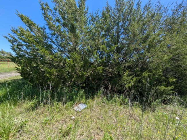 View of nature | Image 9