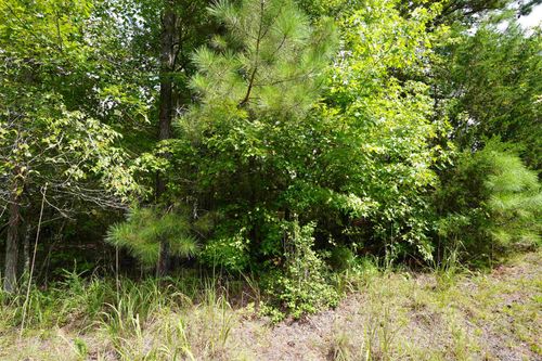 00 Cricket Ln, pacolet, SC, 29372 | Card Image