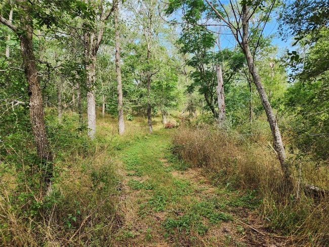 View of local wilderness | Image 20