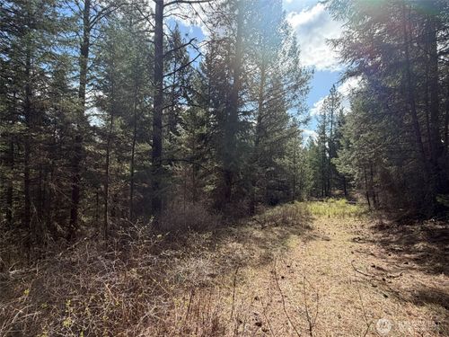 111 TBD W West Curlew Lake Road, Republic, WA, 99166 | Card Image