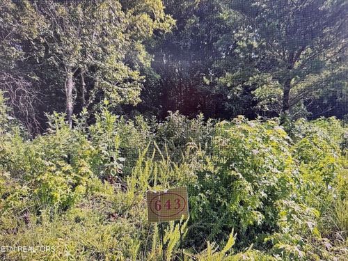 204 Majestic View Dr, Rockwood, TN, 37854-4567 | Card Image