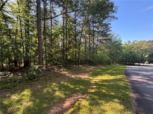 Lot 46 Princess Tree Way, Sunset, SC, 29685 | Card Image