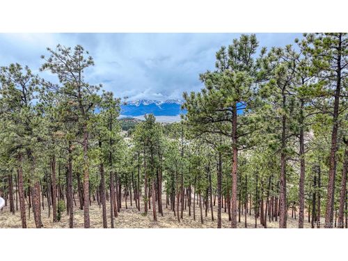 43 Beneaton Ln S, Westcliffe, CO, 81252 | Card Image