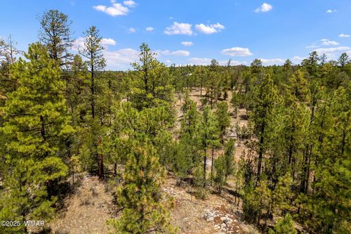 2975 Canary Ln, Heber, AZ, 85928-5552 | Card Image