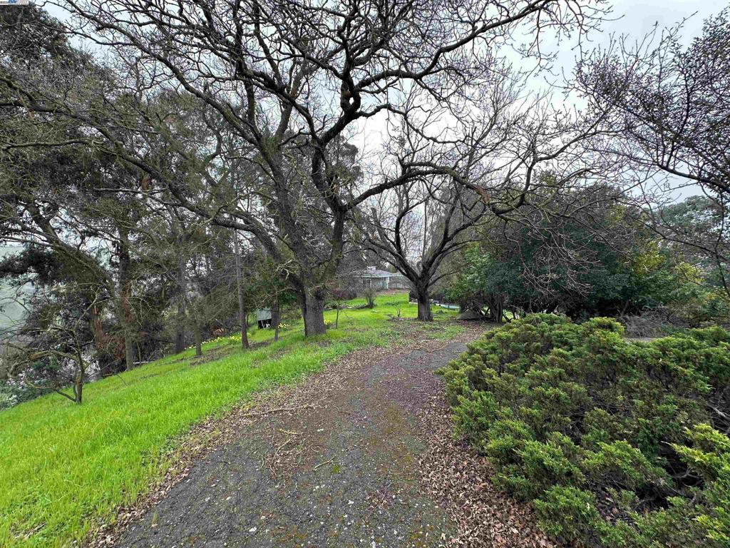 Land in Lafayette 2