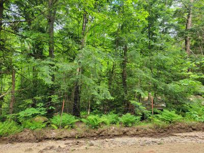 Lot 5-7 Shaw Road, Home with 0 bedrooms, 0 bathrooms and null parking in Pittsfield NH | Image 1