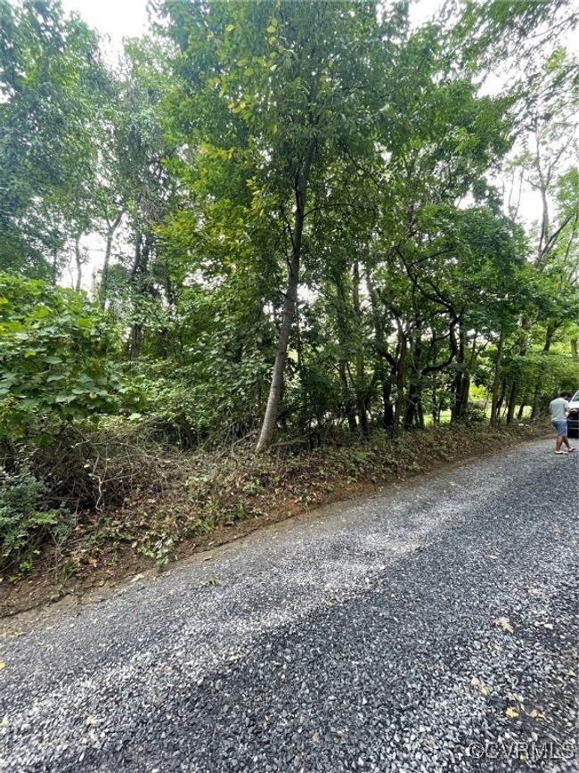 View of street | Image 4