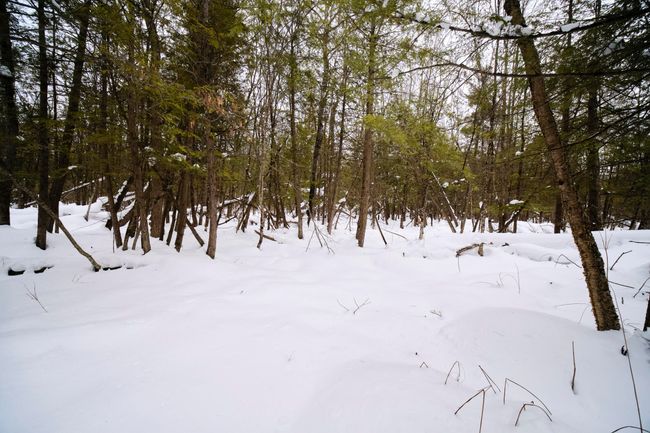 Property views | Image 51