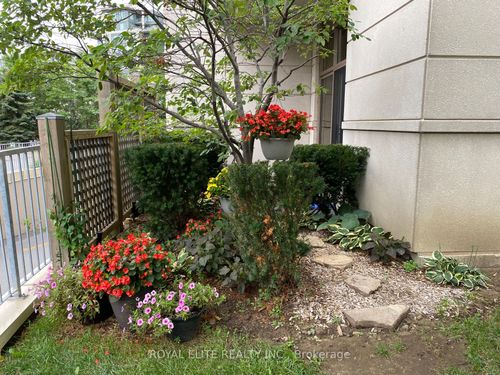 102-39 Galleria Pky, Thornhill, ON, L3T0A6 | Card Image