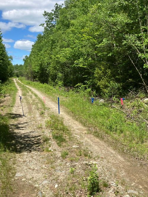 Off Route 192, Wesley, ME, 04686 | Card Image