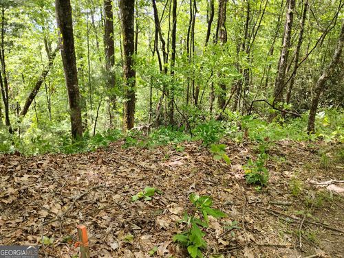 lot-120-0 Ridgepole Dr, Dillard, GA, 30537 | Card Image