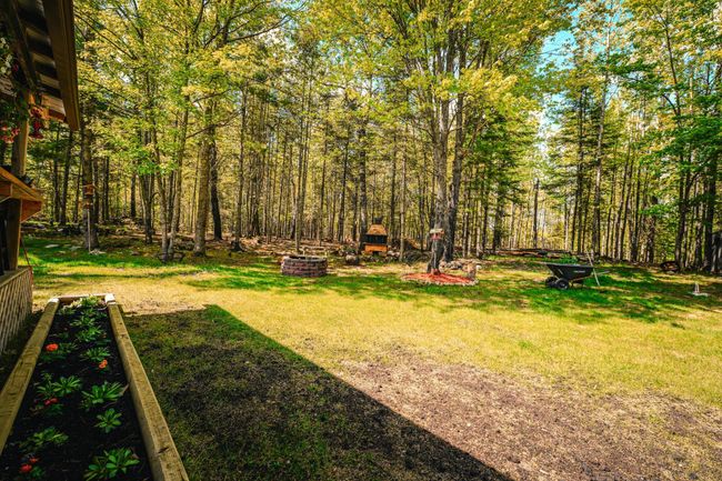 Wooded Lot | Image 19