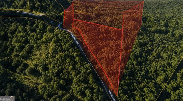 Land in Ellijay 3