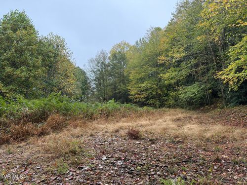0 Clarktown Rd, Roan Mountain, TN, 37687 | Card Image