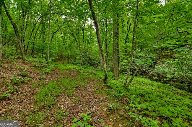 LOT 68 Toccoa Taquohee Trl, Home with 0 bedrooms, 0 bathrooms and null parking in Blue Ridge GA | Image 21