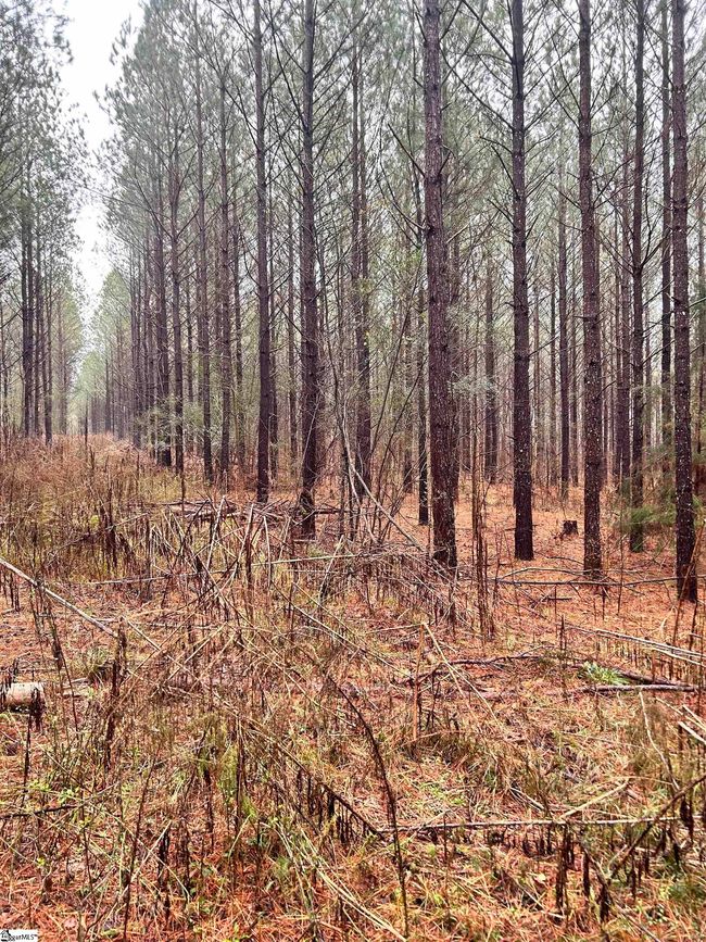 00 Columbia Rd, Home with 0 bedrooms, 0 bathrooms and null parking in Edgefield SC | Image 11