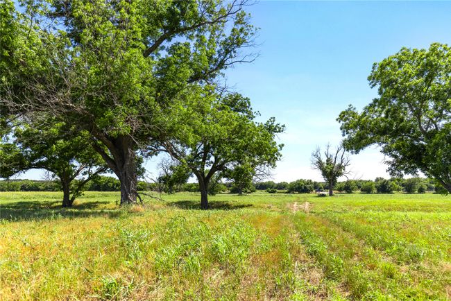 View of undeveloped land featuring rural landscape | Image 21