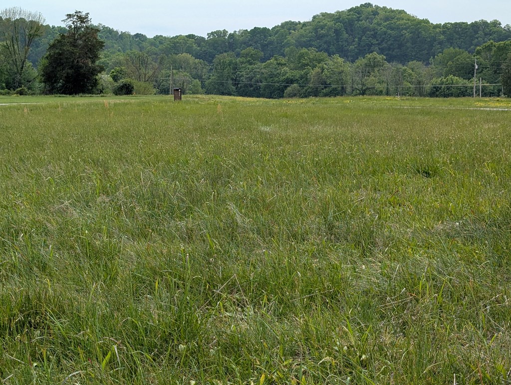 Land in Burkesville 2