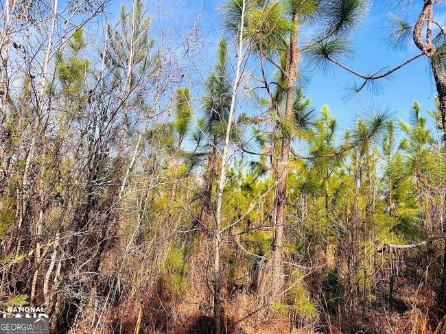 0 County Road 36, Home with 0 bedrooms, 0 bathrooms and null parking in Eufaula AL | Image 12