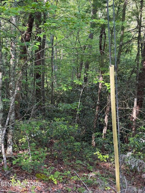 Lot 6 Walnut Flats Rd, Walland, TN, 37886 | Card Image