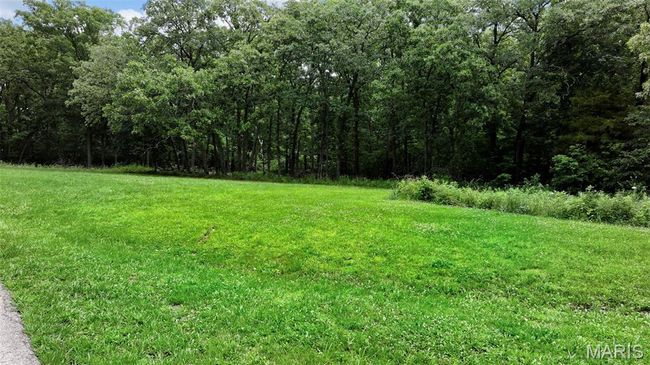 View of grassy yard with a view of trees | Image 4