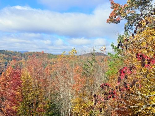 12-4 Cardinal Rd, Murphy, NC, 28906 | Card Image