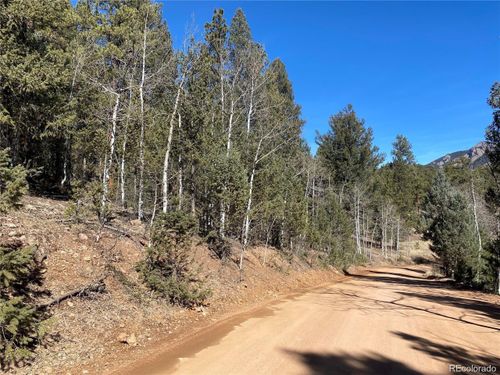 12373 S Polly Dr, Pine, CO, 80470-8617 | Card Image