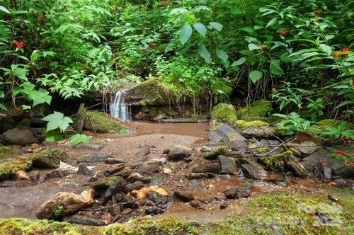 15 Mountain Mint Dr, Swannanoa, NC, 28778-0470 | Card Image