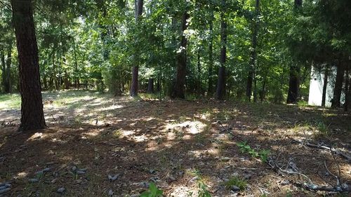 45 Wildmeade Ct, North Augusta, SC, 29841-6086 | Card Image