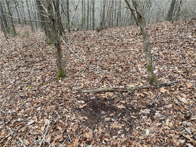 000 Holmes Rd, Home with 0 bedrooms, 0 bathrooms and null parking in Mountain View AR | Image 17